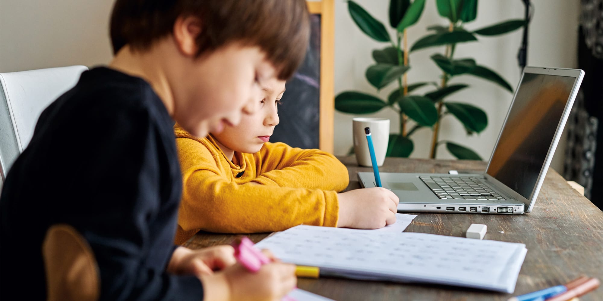 Home-education